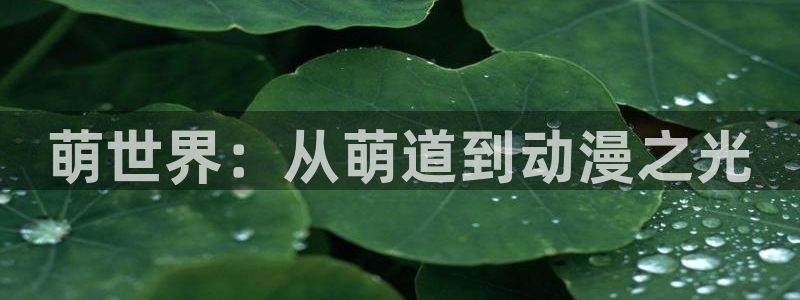 age动漫官网樱花动漫：萌世界：从萌道到动漫之光