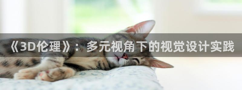 age动漫网：《3D伦理》：多元视角下的视觉设计实践