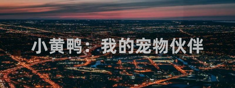 age动漫网上看：小黄鸭：我的宠物伙伴