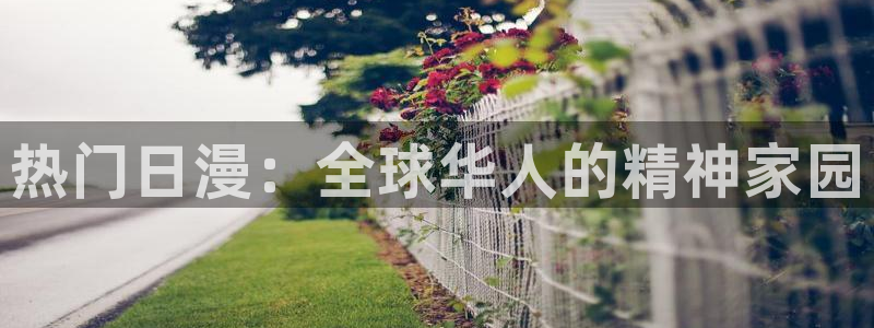 age漫画网：热门日漫：全球华人的精神家园