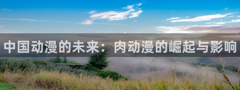 age动漫网上看：中国动漫的未来：肉动漫的崛起与影响
