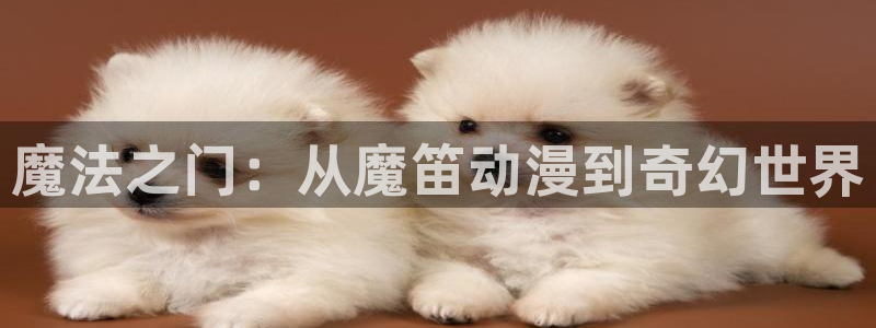 age动漫官网入口老版本：魔法之门：从魔笛动漫到奇幻世界