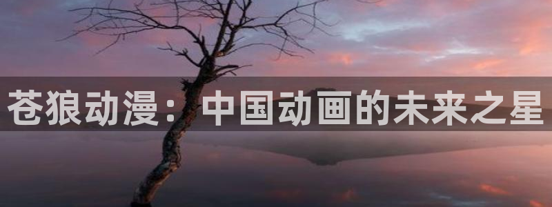 在线动画动漫下载age动漫：苍狼动漫：中国动画的未来之星