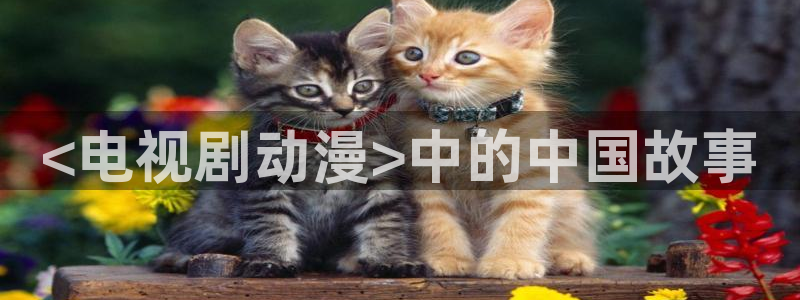 age樱花动漫：<电视剧动漫>中的中国故事