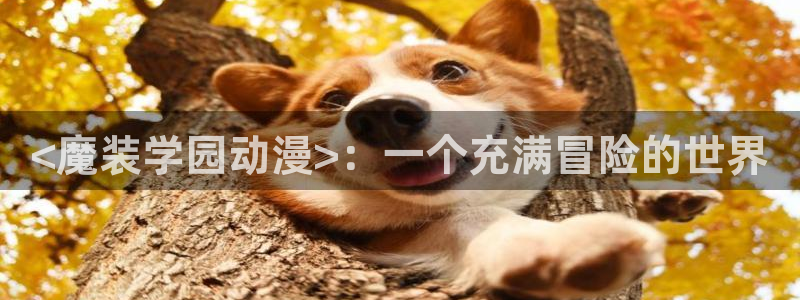 age动漫下载网：<魔装学园动漫>：一个充满冒险的世界
