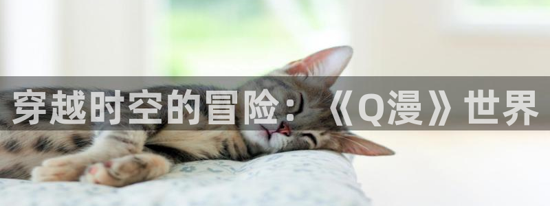 age动漫下载网：穿越时空的冒险：《Q漫》世界
