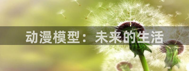 age动漫正版网：动漫模型：未来的生活